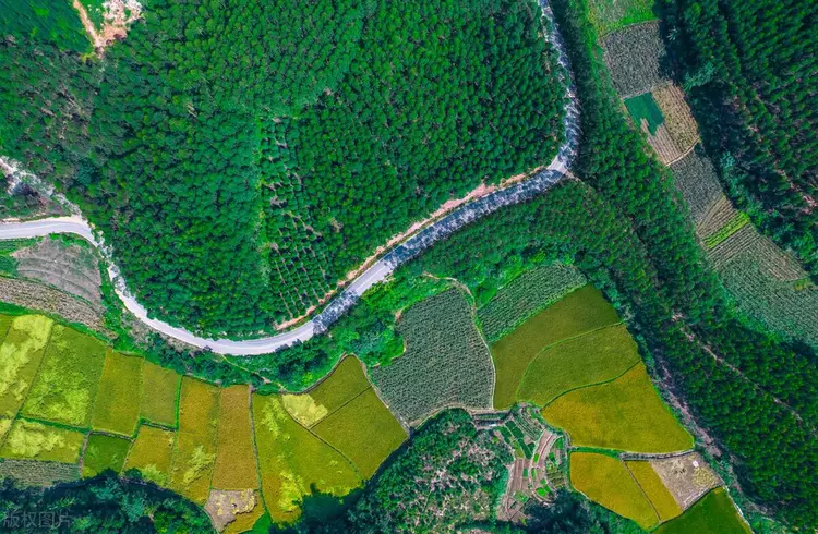 图片包含 绿色, 蛋糕, 桌子, 游戏机

描述已自动生成